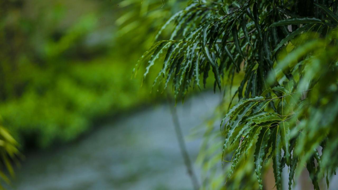 Silver Crown Nature Resort Kombichankulama Zewnętrze zdjęcie