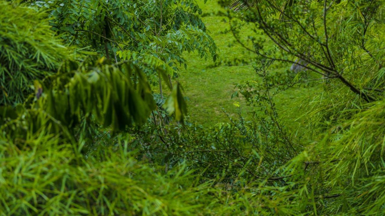 Silver Crown Nature Resort Kombichankulama Zewnętrze zdjęcie
