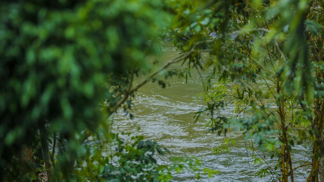 Silver Crown Nature Resort Kombichankulama Zewnętrze zdjęcie